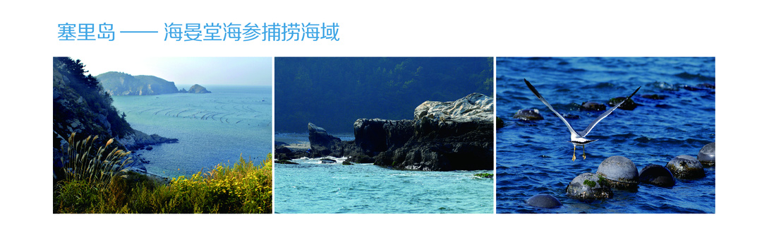 d4512de8192b4823899619786b0cde30.jpg