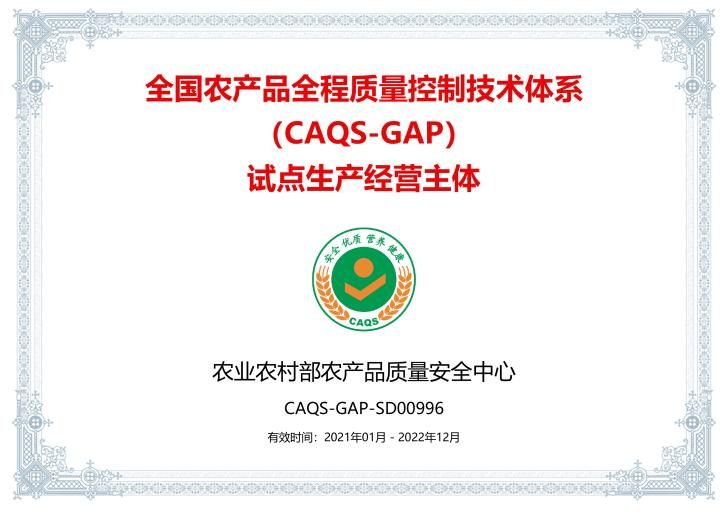 图片 22.png