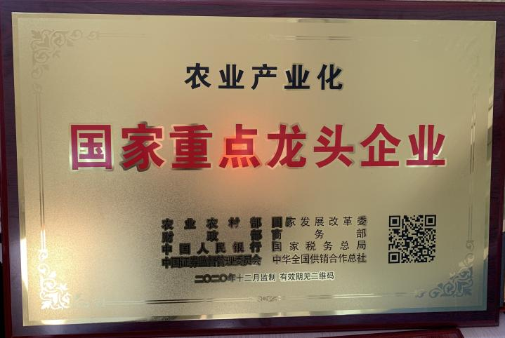 图片 21.png