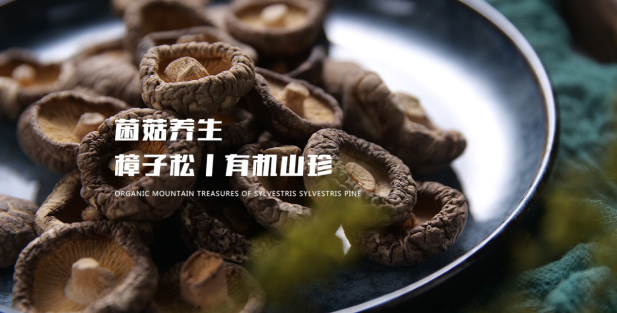 北奇神集团大兴安岭新林绿色产业有限责任公司-封面.png