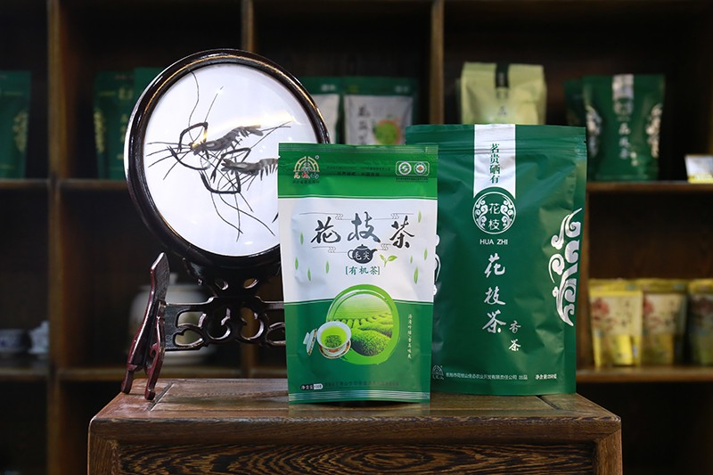 恩施花枝山生态农业股份有限公司-封面.png
