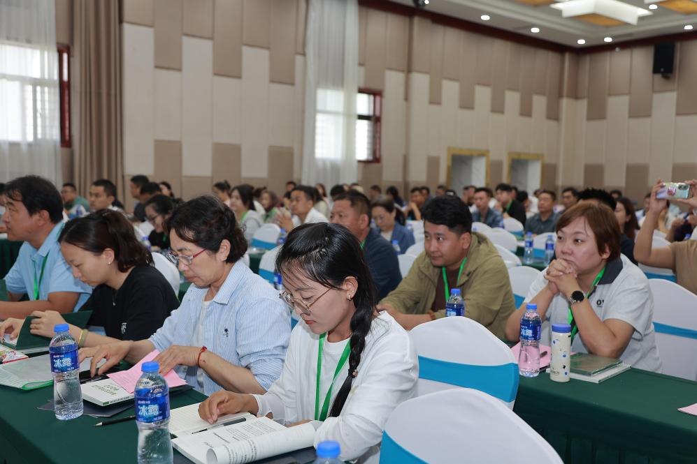 图片2.jpg