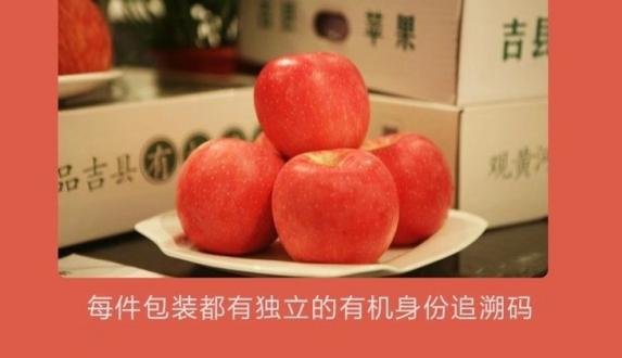 图片6.png