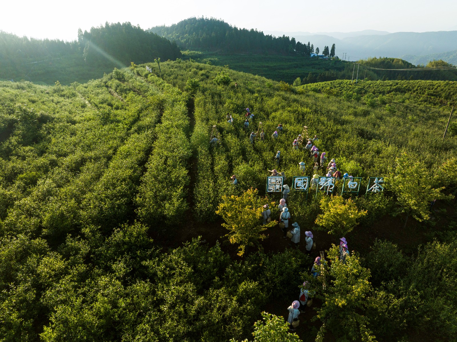 DJI_0674.jpg